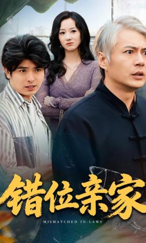 短剧《错位亲家》海报