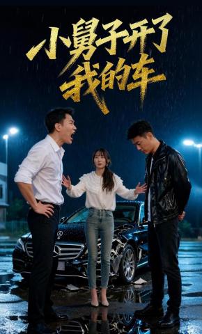 短剧《小舅子开了我的车》海报