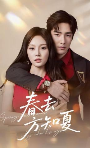 短剧《春去方知夏》海报
