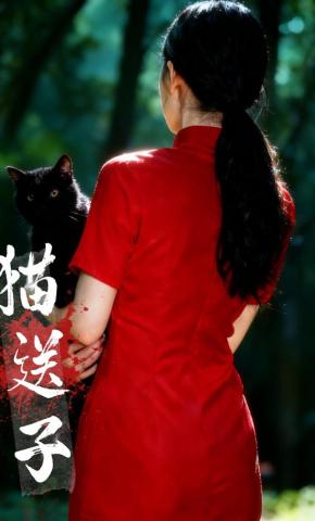 短剧《猫送子》海报