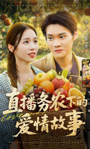 短剧《直播务农下的爱情故事》海报