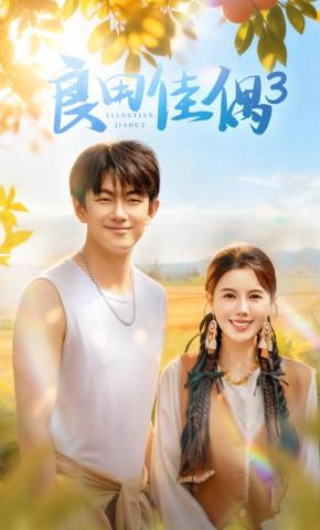 短剧《良田佳偶3》海报