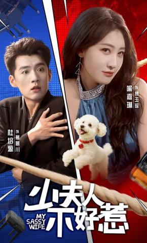 短剧《少夫人不好惹》海报