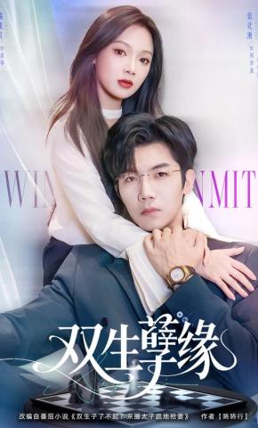 短剧《双生孽缘》海报