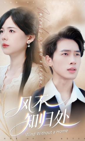 短剧《风不知归处》海报