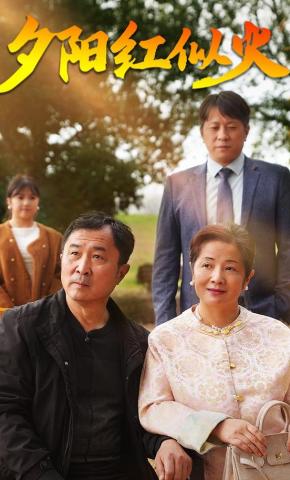 短剧《夕阳红似火》海报