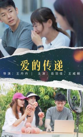 短剧爱的传递海报