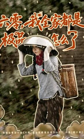 短剧《六零，我全家都是极品怎么了》海报