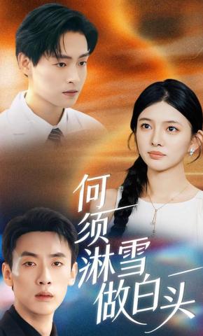 短剧《何须淋雪做白头》海报