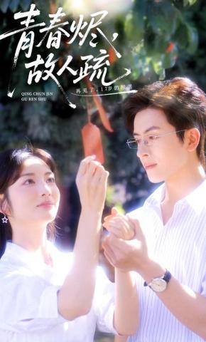 短剧《青春烬，故人疏》海报