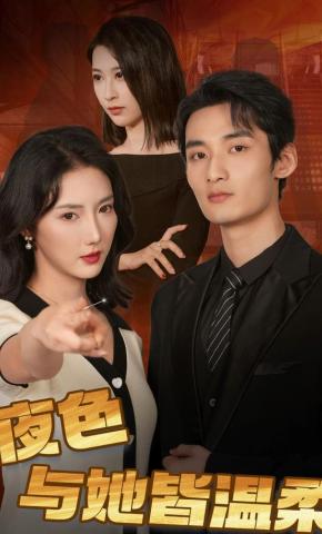 短剧《夜色与她皆温柔》海报