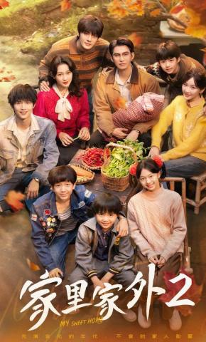 短剧《家里家外2》海报