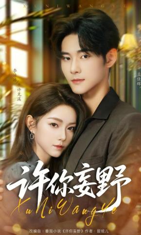 短剧《许你妄野》海报