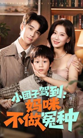 短剧《小团子驾到：妈咪不做冤种》海报