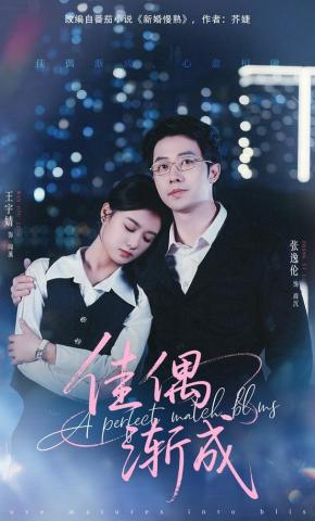 短剧《佳偶渐成》海报