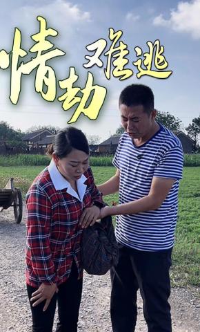 短剧《情劫难逃》海报