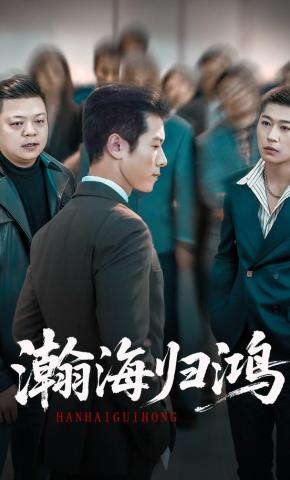 短剧《瀚海归鸿》海报