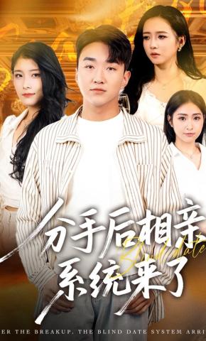 短剧《分手后相亲系统来了》海报