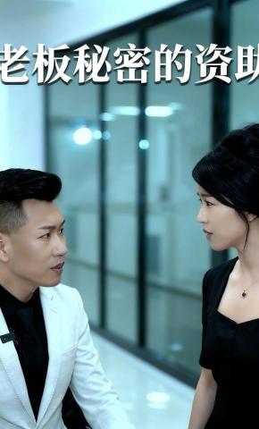 短剧老板秘密的资助海报