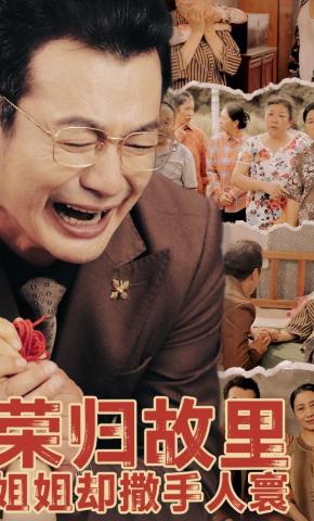 短剧荣归故里，姐姐却撒手人寰海报