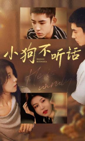 短剧《小狗不听话》海报