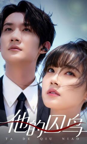 短剧《他的囚鸟》海报