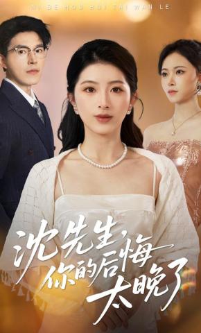 短剧沈先生，你的后悔太晚了海报