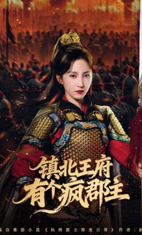 短剧《镇北王府有个疯郡主》海报