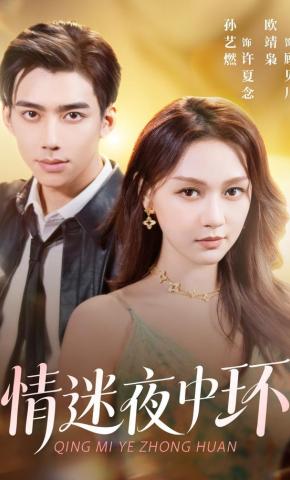 短剧《情迷夜中环》海报