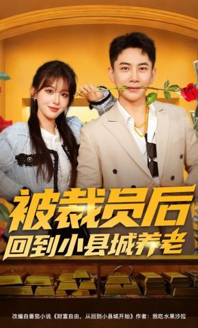 短剧《被裁员后回到小县城养老》海报