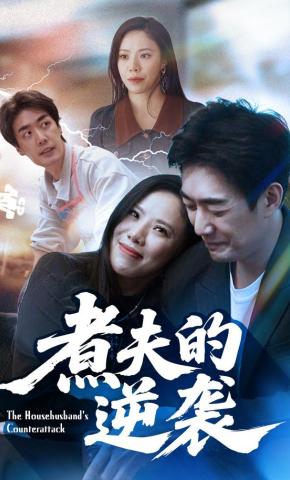 短剧煮夫的逆袭海报