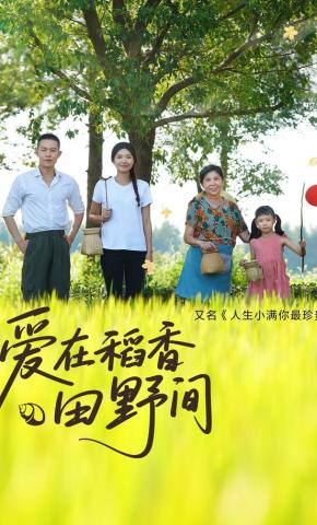 短剧《爱在稻香田野间》海报