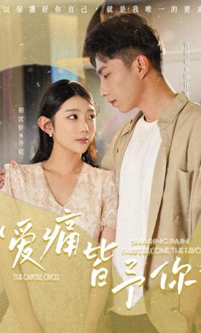 短剧爱痛皆予你海报