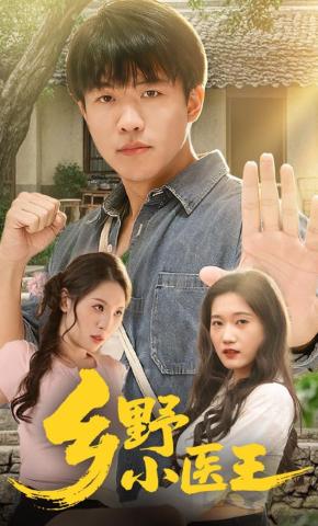 短剧《乡野小医王》海报