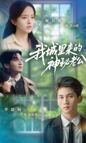 短剧《我城里来的神秘老公》海报