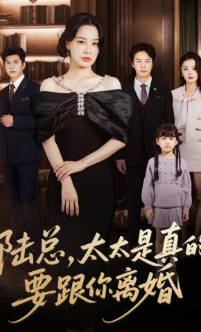 短剧《陆总，太太是真的要跟你离婚》海报