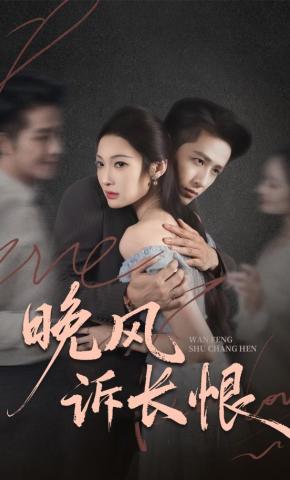 短剧晚风诉长恨海报