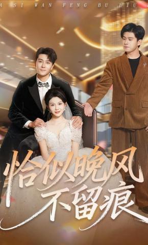 短剧《恰似晚风不留痕》海报