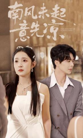 短剧《南风未起意先凉》海报