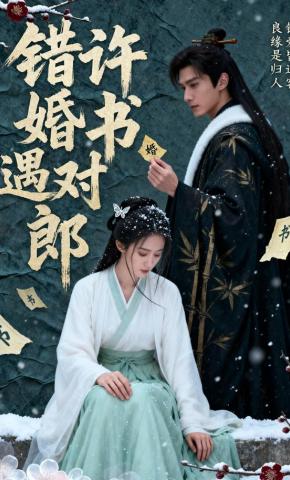 短剧《错许婚书遇对郎》海报