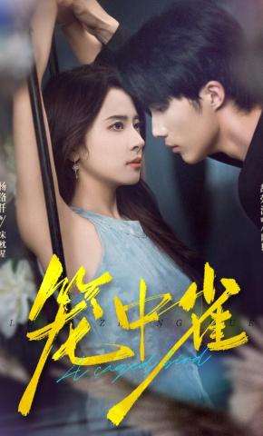 短剧《笼中雀》海报