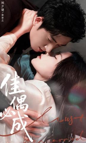 短剧《佳偶必成》海报