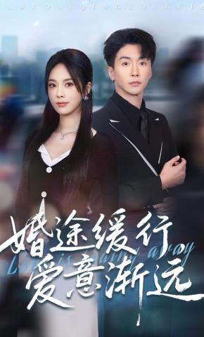 短剧婚途缓行，爱意渐远海报