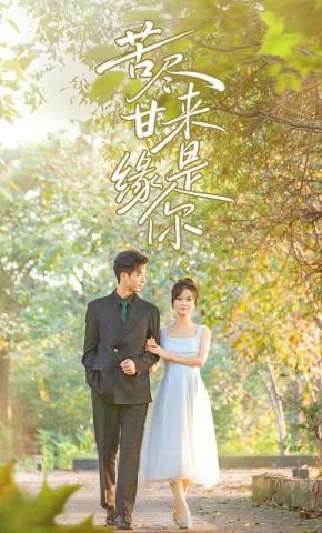 短剧《苦尽甘来缘是你》海报
