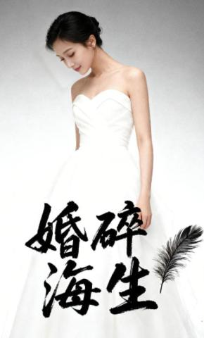 短剧《婚碎海生》海报