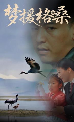 短剧梦援格桑海报