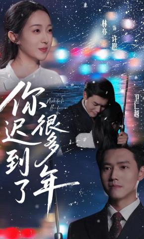 短剧《你迟到了很多年》海报