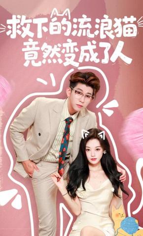 短剧《救下的流浪猫竟然变成了人》海报