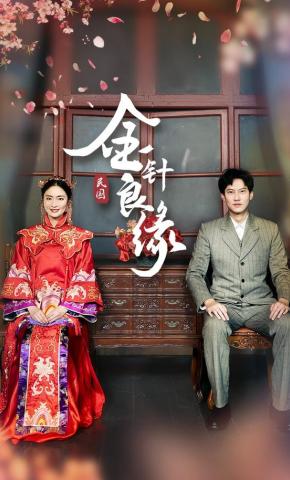 短剧金针良缘海报