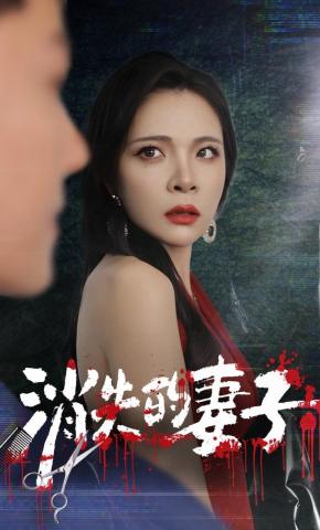 短剧消失的妻子海报